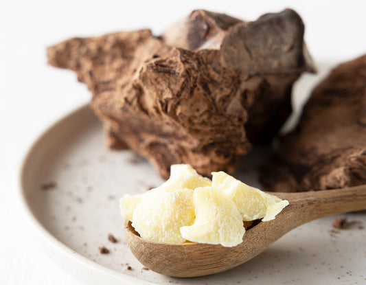 Kakaomasse und Kakaobutter