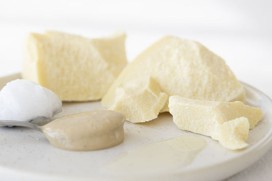 Kakaobutter, Kokosfett, Nussmus und Pflanzenöl auf einem Teller
